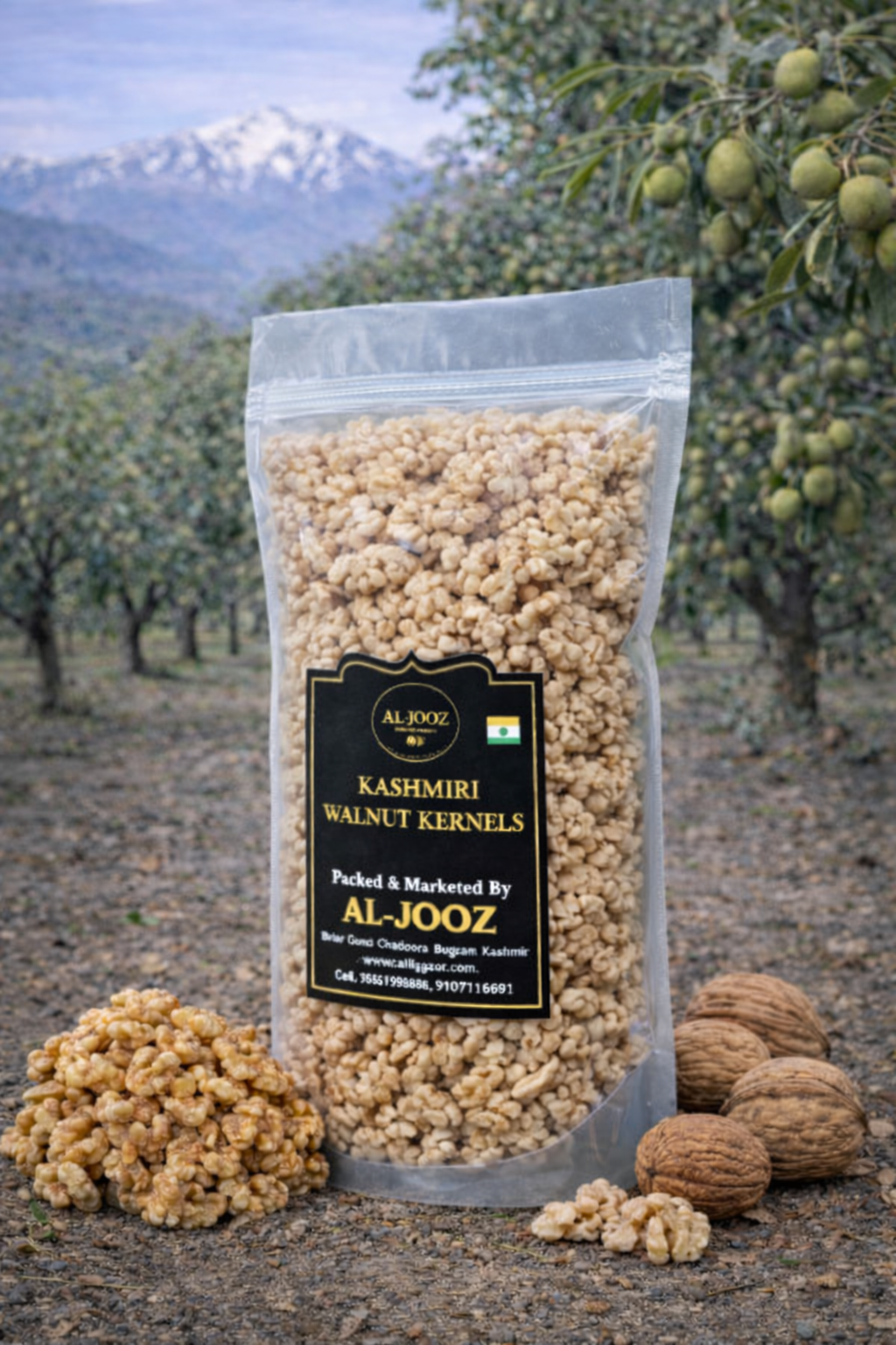 A KASHMIRI WALNUT KERNALS