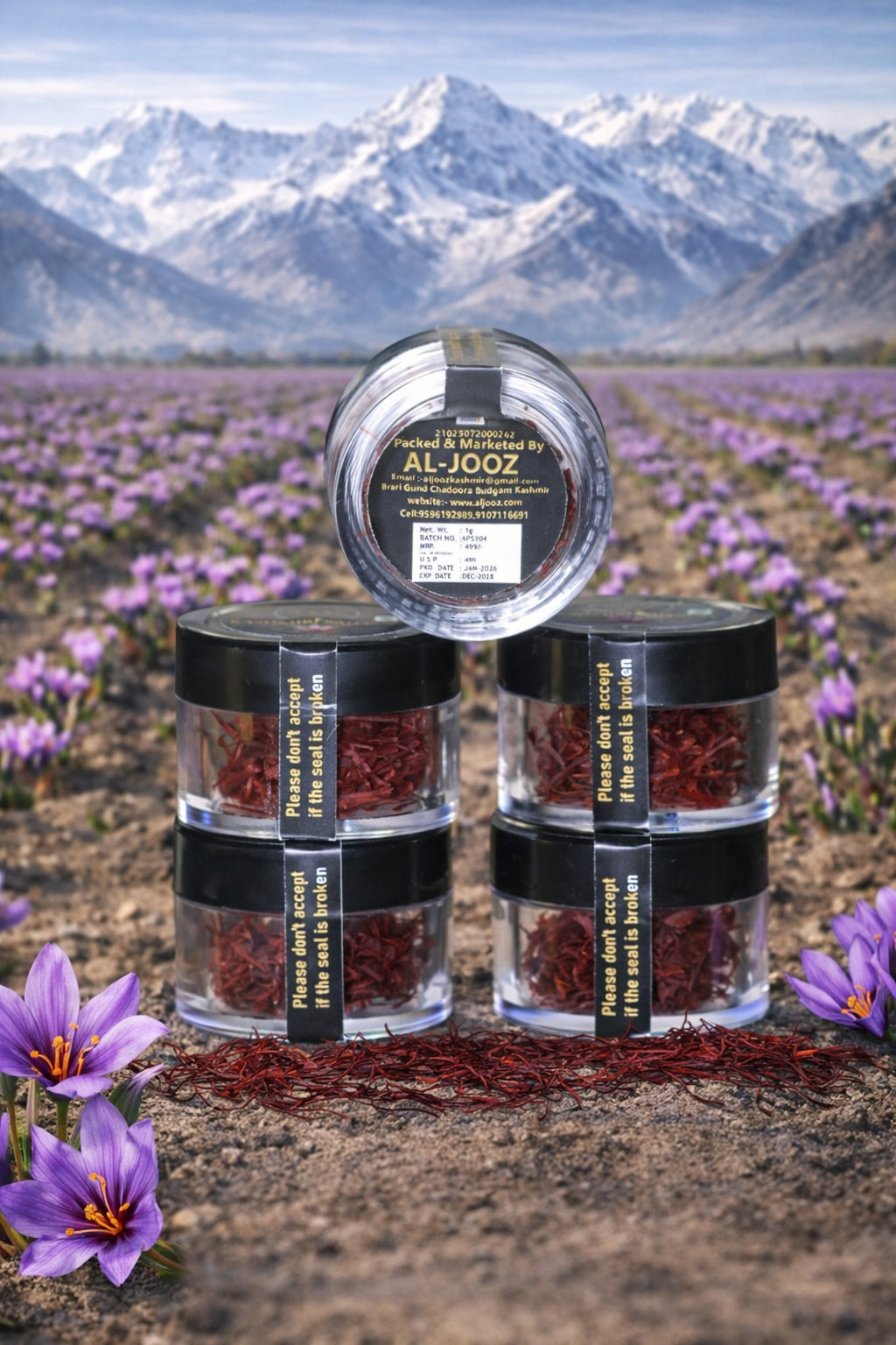 A KASHMIRI SAFFRON