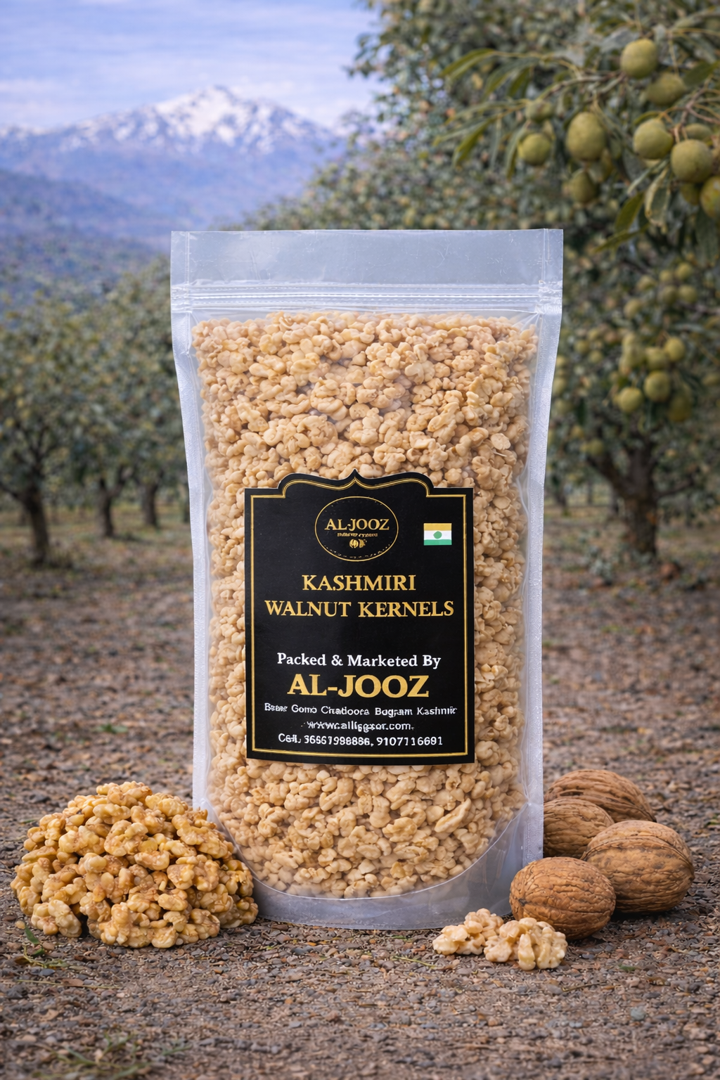 A KASHMIRI WALNUT KERNALS